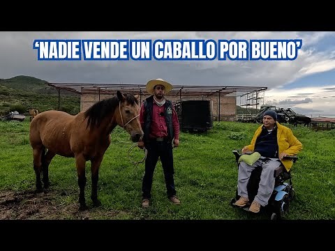 'Nobody sells a horse because it's good' | Guide to Buying a Horse | RancheandoAndo