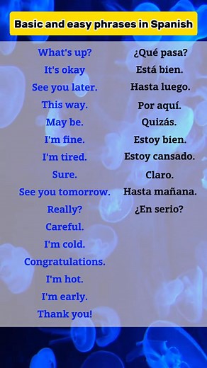 Easy Spanish Words You Need to Know Today! 💬 | Easy Spanish