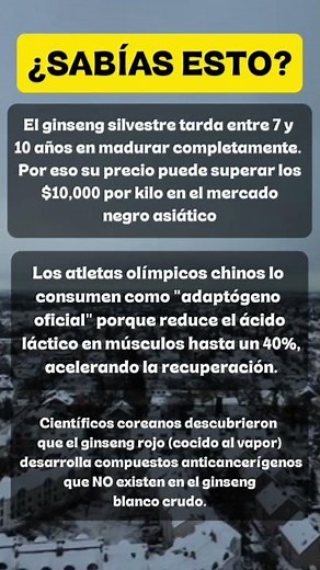 Sabías esto: Datos sobre el Ginseng y sus Beneficios #amor #reflexión