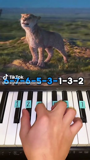 Piano Tutorial for 'I Always Wanted A Brother'