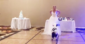 Bride Dances With Her “Best Dog” At Wedding