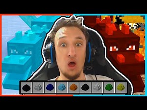 9 NEUE Drachen zum REITEN in Minecraft!