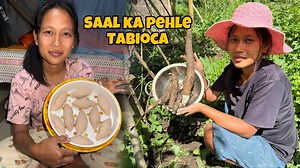 Saal ka Pehla Tapioca Harvest || Fresh Tapioca from Our Farm | Angkur Marak