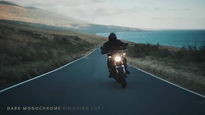 301 reactions · 20 shares | Unify every frame with a cohesive color palette. | Lens Distortions | Facebook