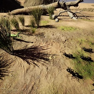 4.9K views · 226 reactions | Build Your Empire Of Ants | The Ants: Underground Kingdom | Facebook