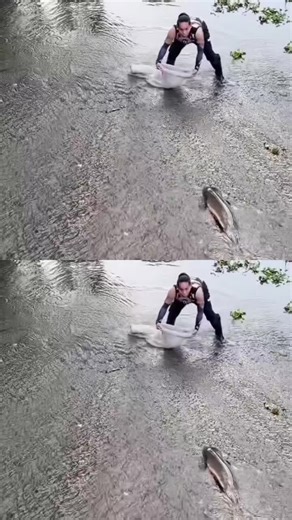 Amazing fishing videos #amizingfish #bigfish #fishing #fishingvideos