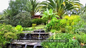 7M views · 258 reactions | There ARE still places where you can afford to kick back and enjoy life in your "golden years"… where you don’t have to be wealthy to do it. International Living Magazine is the world's best resource for anyone interested in retiring or living overseas. Join us today and we'll show you 7 secret retirements towns where you can live better for less. | International Living | Facebook