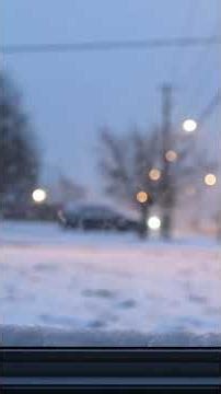 Soft Snowfall Outside the Window ‪@serenescenicwindow‬