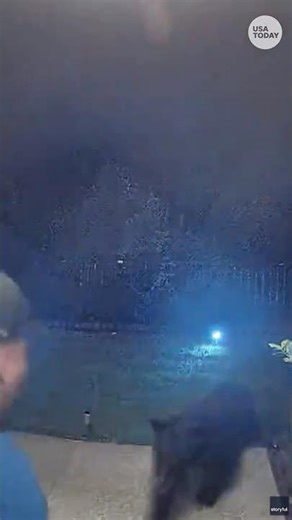 Black bear attacks man in early morning hours, see the doorbell video #Shorts