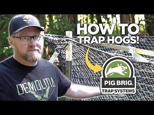 Catching Hogs With A Net! (Setting up the PIG BRIG TRAP SYSTEM)