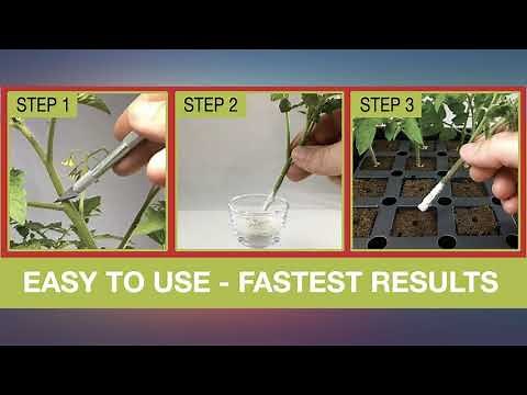 Hormex Rooting Hormone Powder #1,3,8 | for Easy to Moderately Difficult to Root review