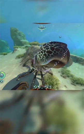 WHAT EGGS CAN YOU GET IN SUBNAUTICA???