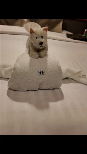 Marella Discovery 2 Towel animals... The staff are great!