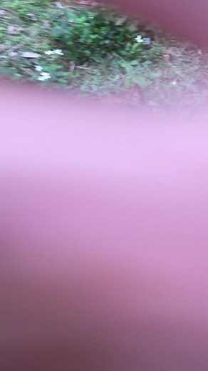 Mastering Soil Digging Techniques for Gardening