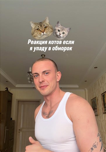 Реакция котов на потерю сознания
