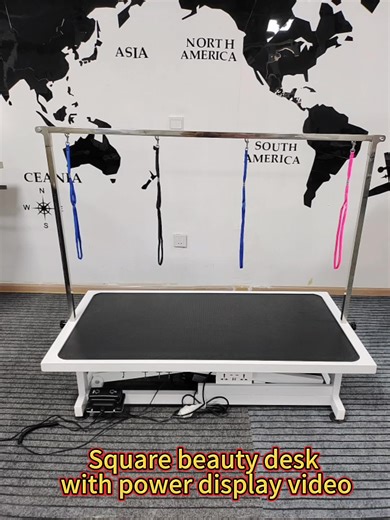 Professional Electric Pet Grooming Table Motorized Height Adjustable Dog Grooming Station with Non-Slip Surface Stainless Steel