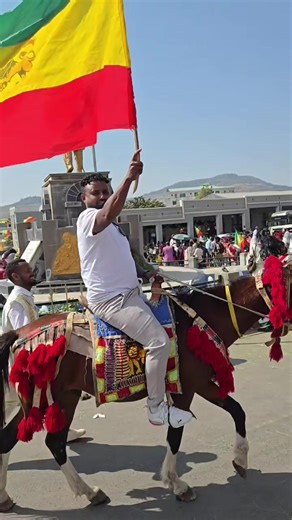 Tesfish (@diasporaconnection2)’s videos with original sound - Tesfish