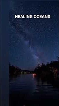 #poetrysoup #poetrylovers #roselovepoetry #readersdigest