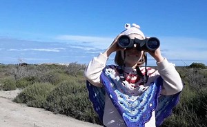 Faansie’s Bird Book – a fully fledged field guide…for kids