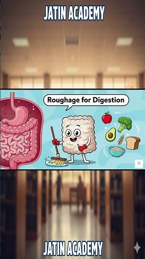 Role of Roughage in Our Body | Easy Science Shorts | Science for Kids Junior Science Biology Shorts