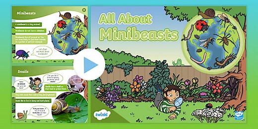 EYFS All About Minibeasts PowerPoint