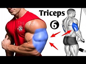 6 Best Triceps Exercises for Muscle Growth - Triceps Workout