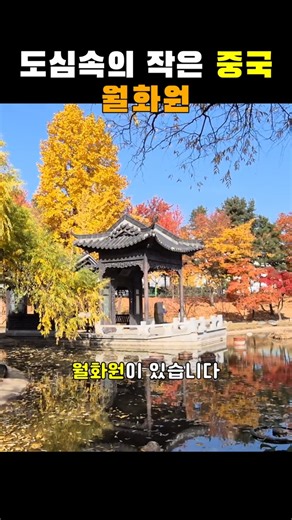 수원 월화원│도심속 조용한 중국식 정원