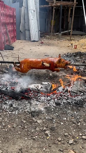 Whole pig “Lechon” #food #shorts #shortsfeed #youtubeshorts #tingsakalam #trending #shortvideo