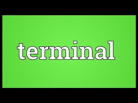 Terminal Meaning