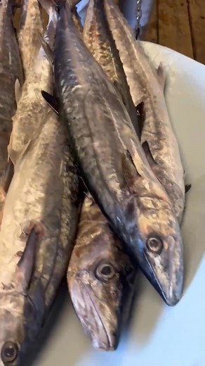  Happy Day at TD SEAFOOD!  We’re starting our weekly Happy Day specials! This week’s on sale: KING FISH - $5.99/lbs (10-20lbs/each) Come grab yours while supplies last!   TD SEAFOOD MARKET ⏰ Open 10AM – 6PM |  704-298-0067 | Td seafood markets | Facebook