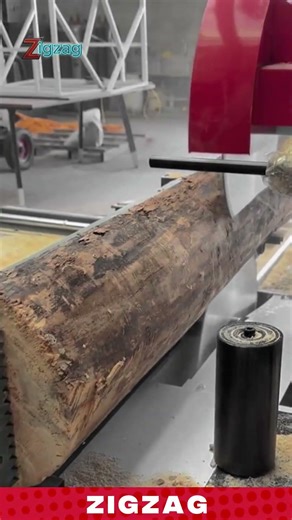 Automatic Log Cutting System Designed for Fast and Accurate Timber Processing