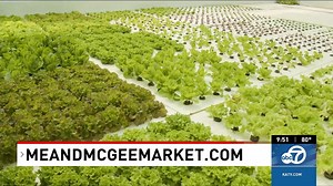 159 reactions · 35 shares | Last time on Experience Arkansas Agriculture we learned about the Aquaculture Research Facility at UAPB. This week, Me & McGee Market’s Logan Duvall takes a “deeper dive” by visiting Miller Aquaponics in Lonoke. The Miller’s have been in the fish hatchery business for decades, but just recently have embarked on a unique journey into produce. | KATV Channel 7 | Facebook