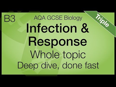 AQA GCSE Biology - Infection and Response | Whole Topic | Triple Science
