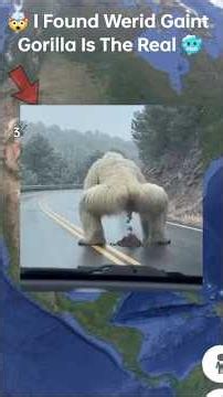 I Found Werid Gorilla 😶🌫️🤯 In google earth and google map 🗺️ #shots #datalegend4u