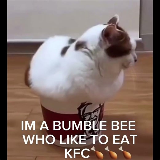 OH IM A BUMBLE BEE