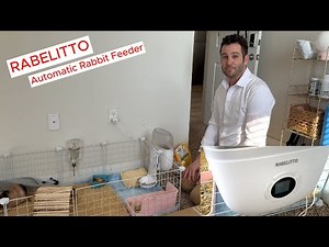 RABELITTO Automatic Rabbit Feeder, great to portion control and feed! #feeder #guineapig #rabbit