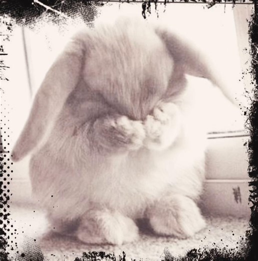 #TODOBAKU — I better not see some dumb ship wars here or I'll edit izuku x Ochako x shoto x Bakugo ok? — #MHA #katsukibakugou #shototodorokiedit — @⊹꒰ Alee ꒱⊹ @iwxian @࣪ ˖⟡˚౨ᴍᴀᴄᴋᴇʀᴇʟৎ˚⟡˖ ࣪ @mila @maes ꨄ @wwx. @kana/ngan @Louise ♡🐇 .