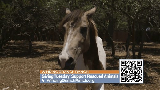 Donate today to have your donation matched and help rescue farm animals