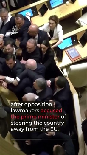 Fistfight erupts in Georgia's parliament during PM's address | AJ #shorts