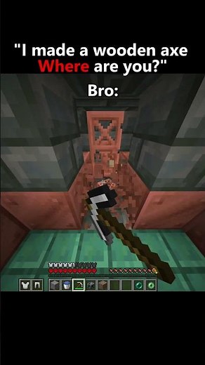 POV That One Bro Everytime... #minecraft