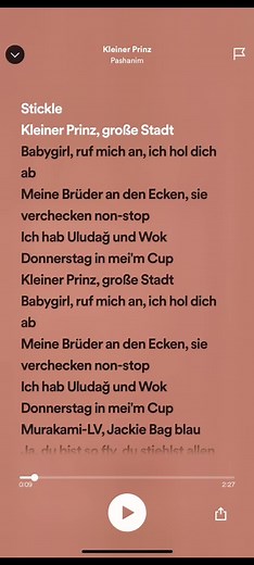 Catchy Pashanim Lyrics on TikTok