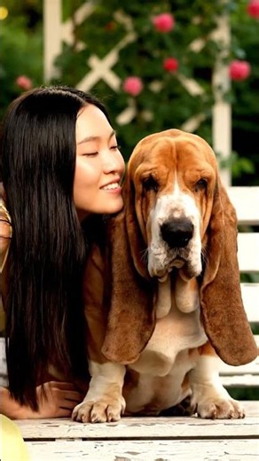 Basset Hound's Droopy Sag