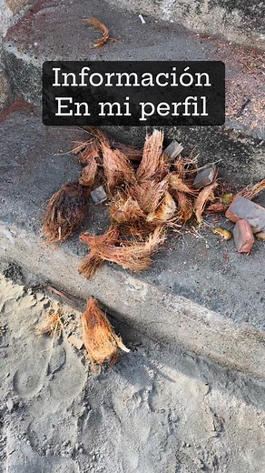 La mejor keratina para alisar, eliminar friz, volumen y resequedad del cabello #viralreelsfacebook #keratinamildrethzagarra #alisadosorganicos #cabellosanoyfuerte #keratina | Keratina Mildreth Zagarra