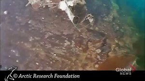 Tour the wreck of the HMS Terror underwater