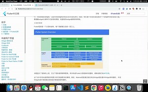 Flutter源码分析(1)-从runApp开始