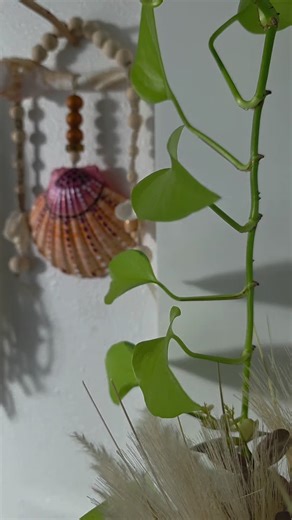 Hand painted shell sculpture. macrame, beads, shells. Wall hanging beachy decor. #paintedshells #shellart #hangingshells #walldecor #shellpainting