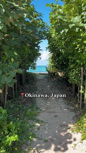ilaria (@ilariajessica) - Explore the Stunning Island Life of Okinawa, Japan