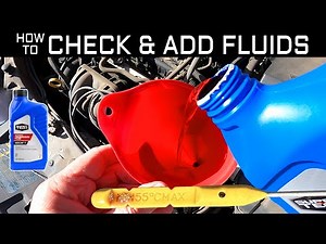 How To Easily Check & Add Fluids To Your Vehicle's Engine - Car Or Truck