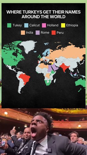 Why Is a Turkey Called Turkey? 🦃 | One Bird, Many Names Explained by History