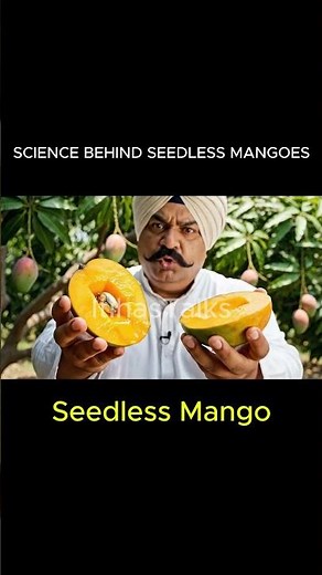 Amazing SCIENCE behind SEEDLESS mangoes